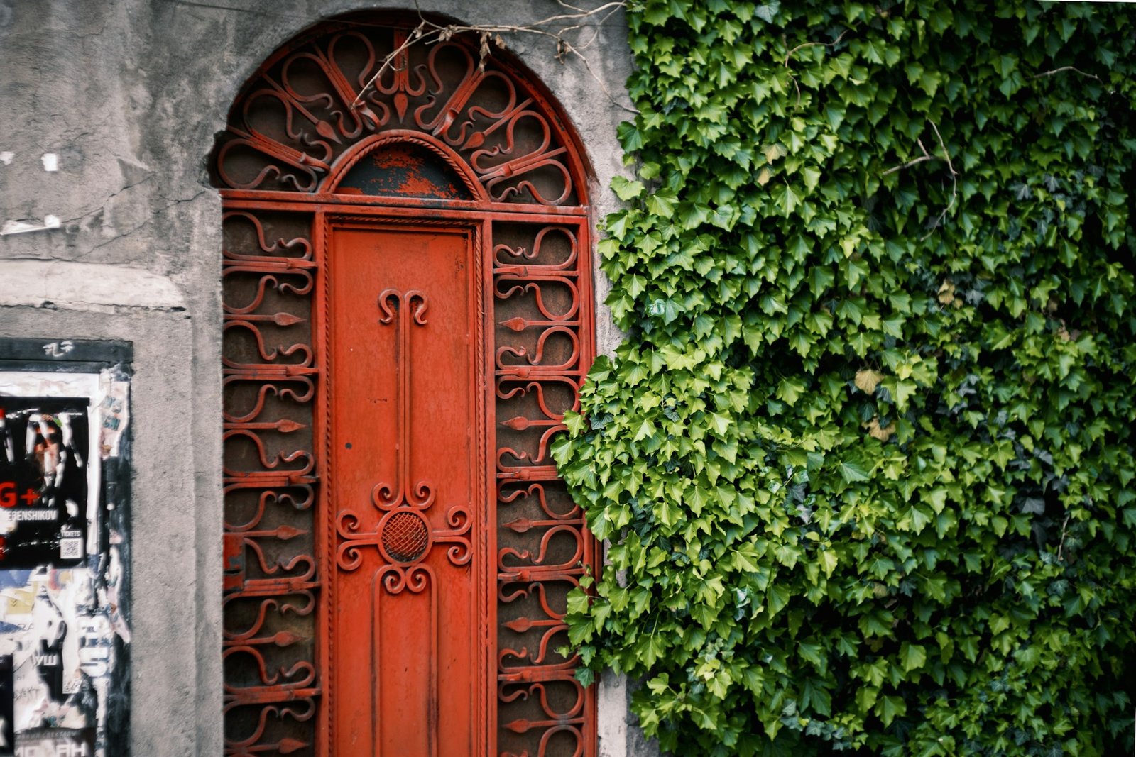 yuri-krupenin-W852DlnLXOg-unsplash